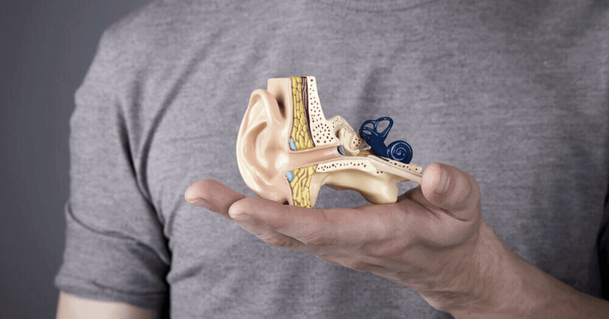 How Often Should You See the Audiologist? Lemme Audiology
